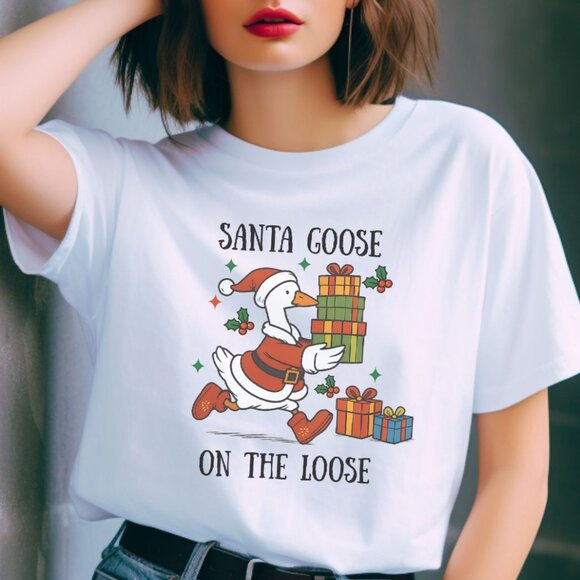 Funny Christmas Graphic Tee Silly Goose Holiday T-Shirt Whimsi Adorable Top - Picture 1 of 4